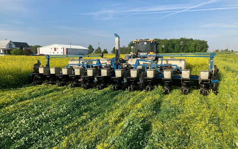 Thị trường hàng hóa nguyên liệu thế giới biến động rất mạnh