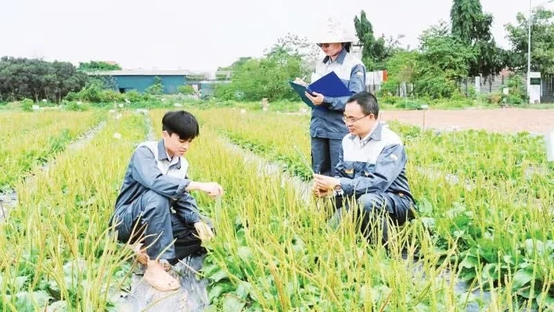  Sớm xây dựng quy trình chuẩn hóa chất lượng dược liệu